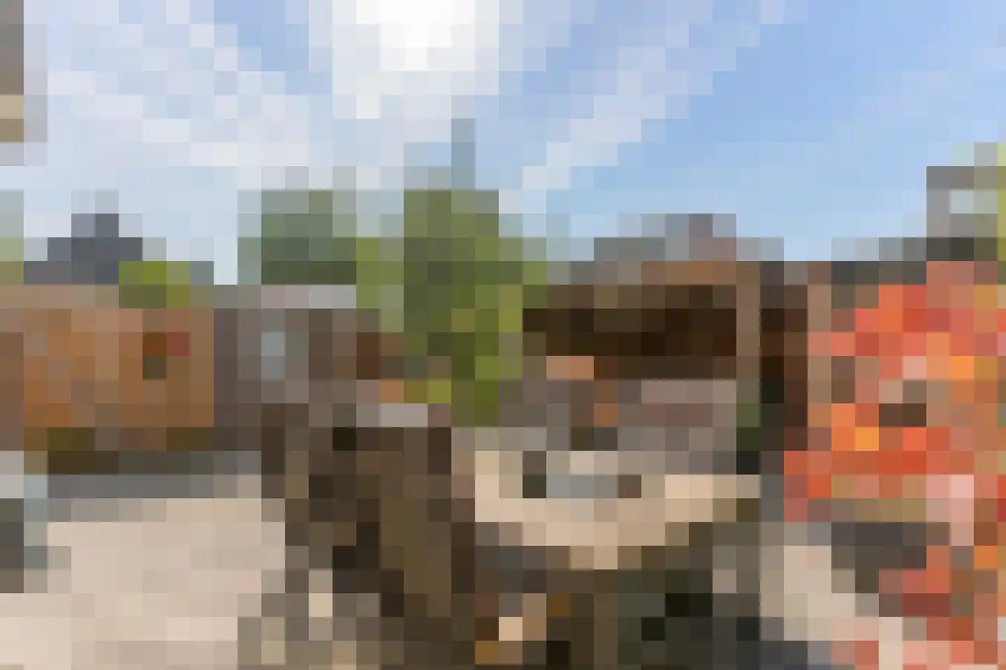Pruimentuin 14 Barendrecht thumbnail 15