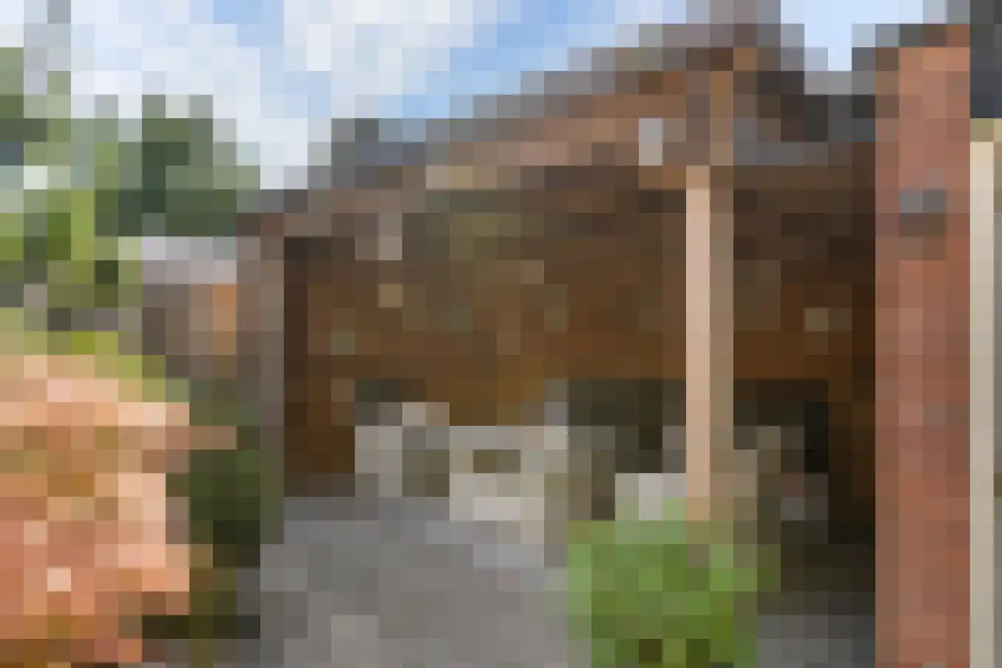 Pruimentuin 14 Barendrecht thumbnail 18