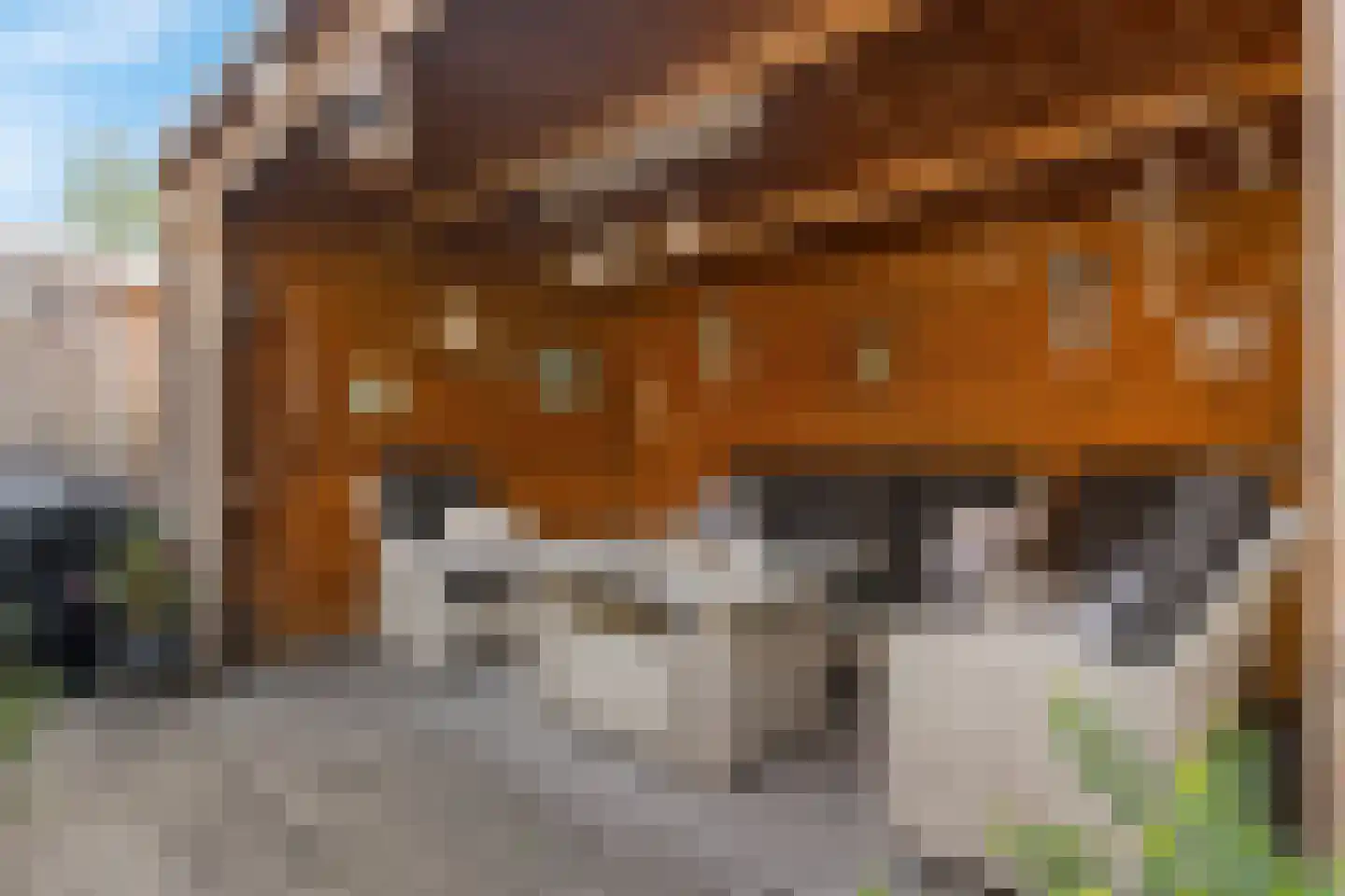Pruimentuin 14 Barendrecht thumbnail 19