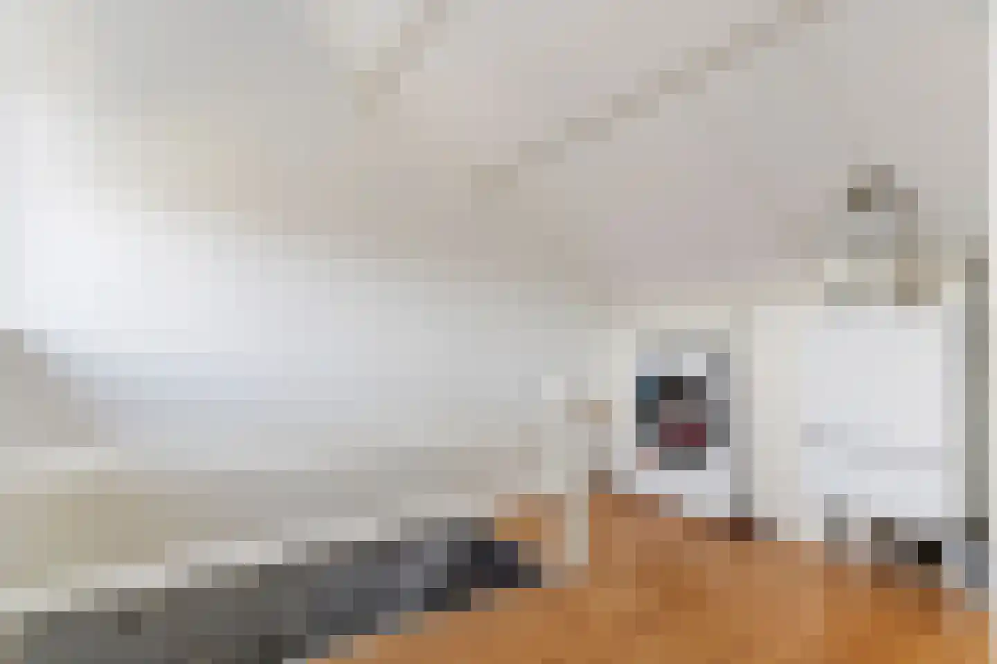 Pruimentuin 14 Barendrecht thumbnail 38