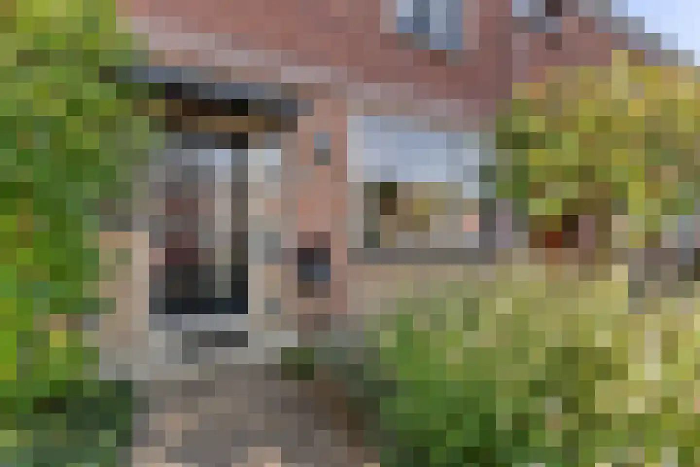 Pruimentuin 14 Barendrecht thumbnail 5