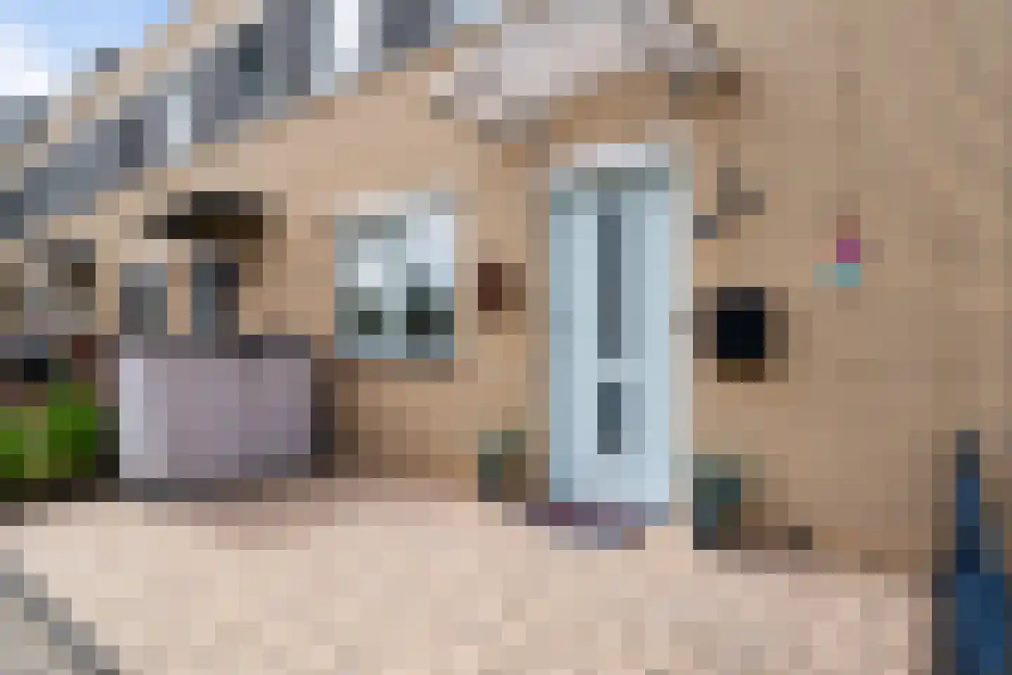 Pruisisch blauw 19 Zoetermeer thumbnail 11