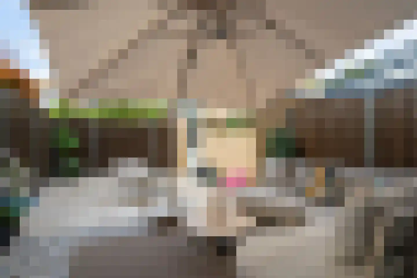 Pruisisch blauw 19 Zoetermeer thumbnail 27