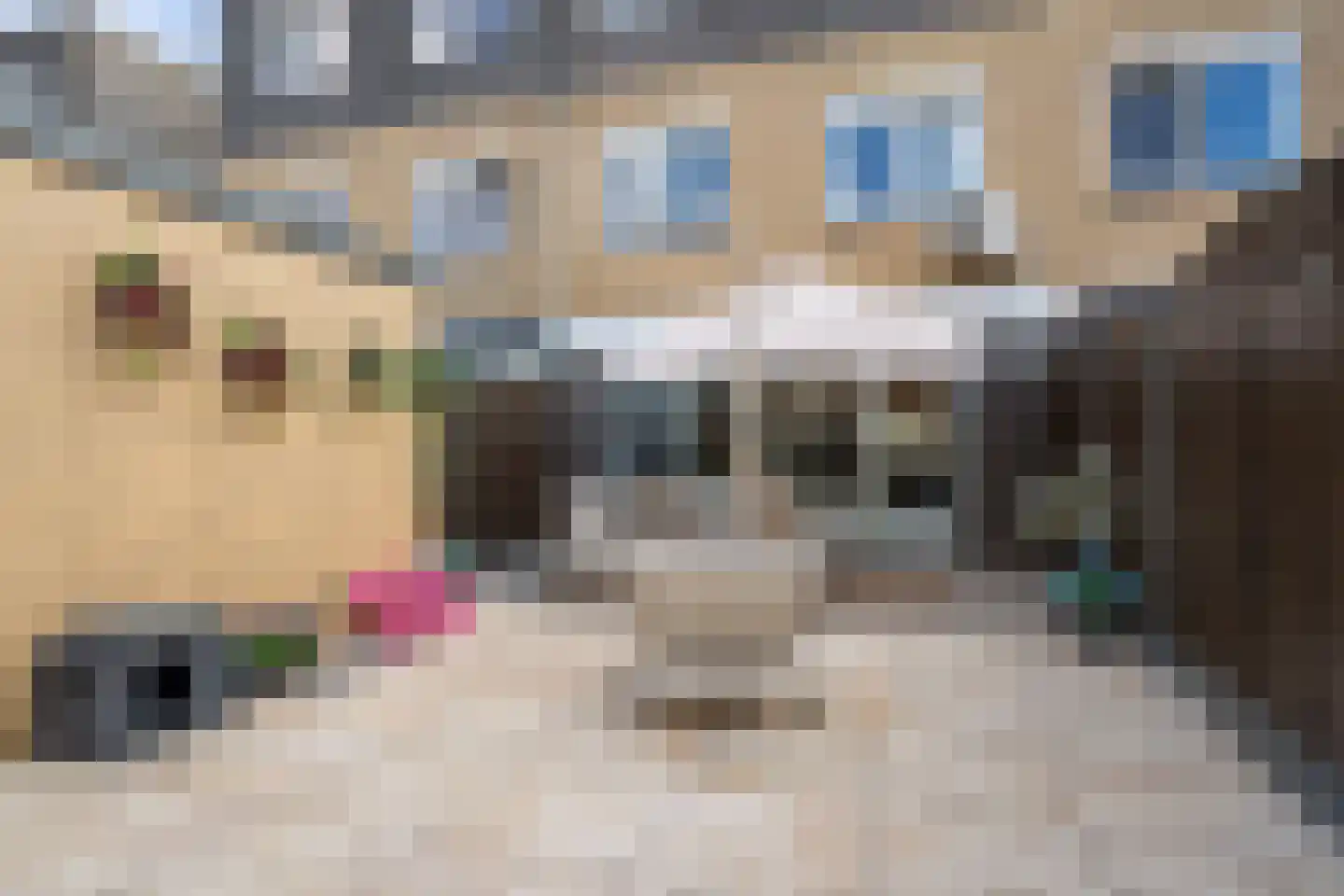 Pruisisch blauw 19 Zoetermeer thumbnail 28
