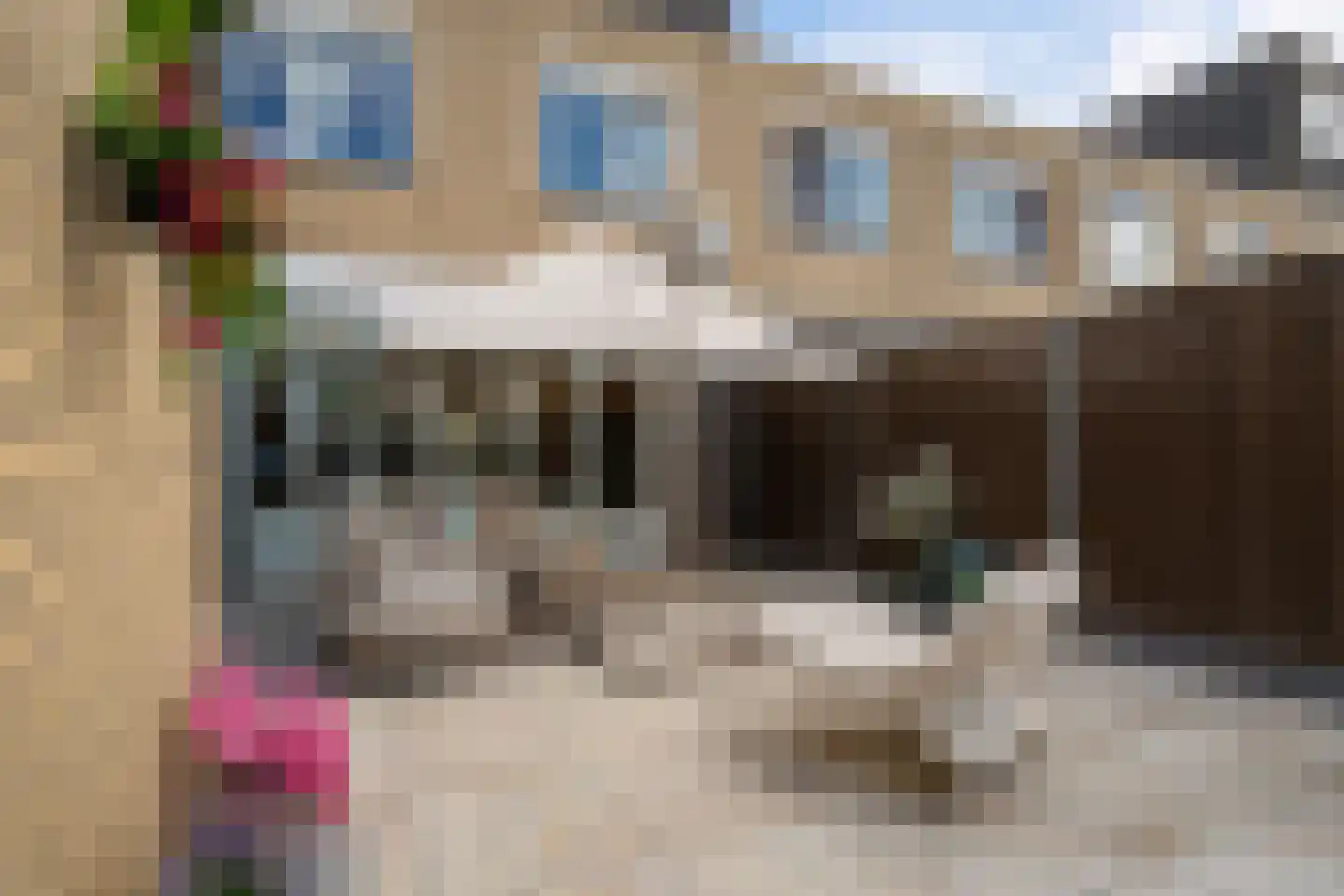 Pruisisch blauw 19 Zoetermeer thumbnail 29