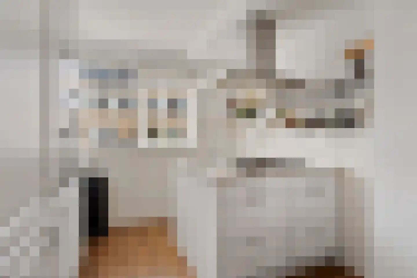 Pruisisch blauw 19 Zoetermeer thumbnail 4
