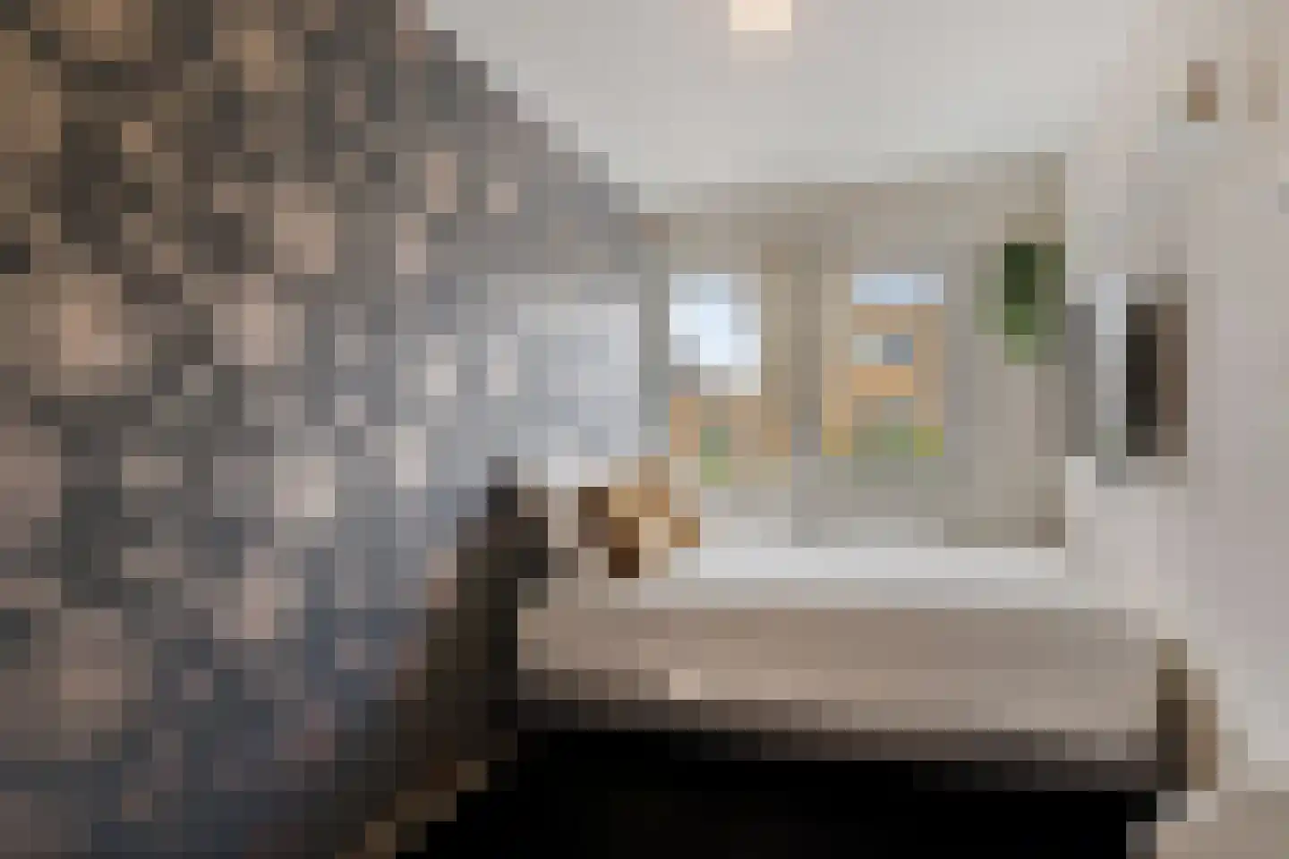 Pruisisch blauw 19 Zoetermeer thumbnail 46