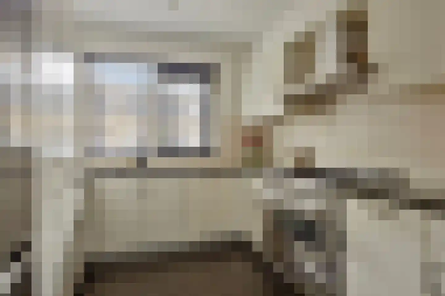 Pruisisch blauw 34 Zoetermeer thumbnail 15
