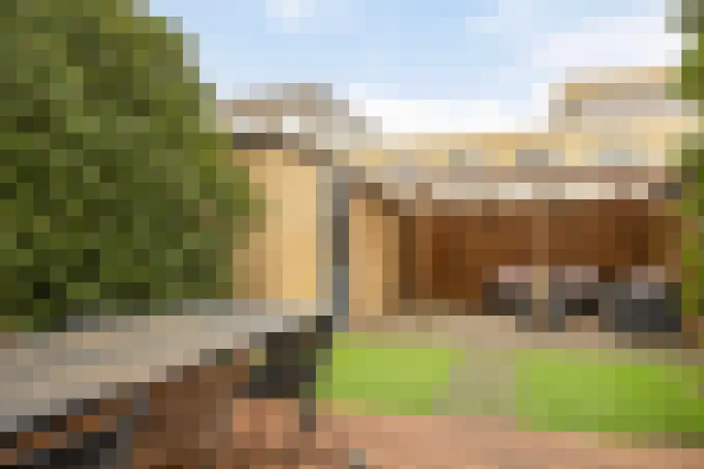 Pruisisch blauw 34 Zoetermeer thumbnail 18