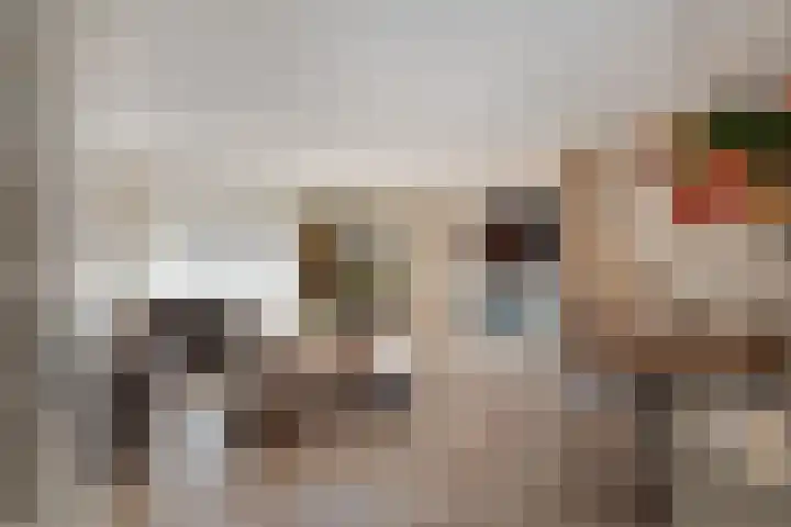 Pruisisch blauw 35 Zoetermeer thumbnail 10