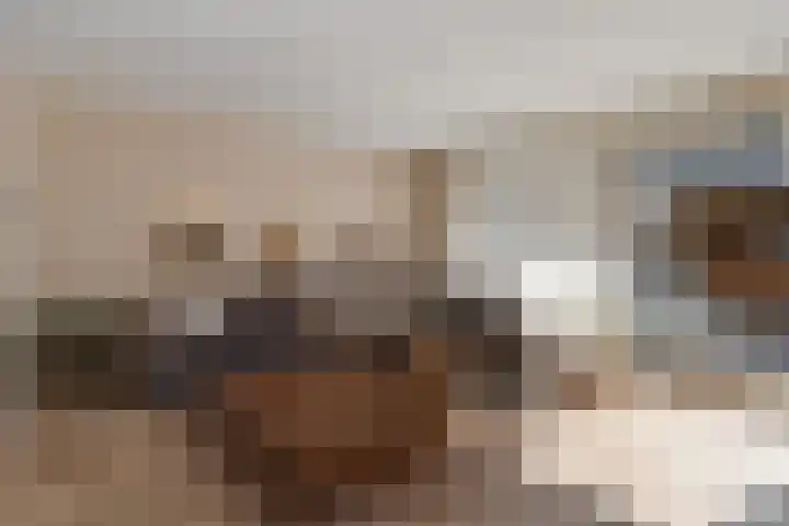 Pruisisch blauw 35 Zoetermeer thumbnail 14