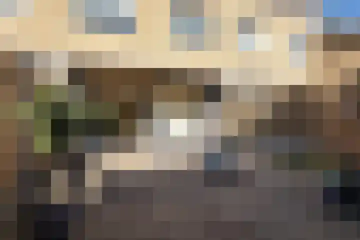 Pruisisch blauw 35 Zoetermeer thumbnail 23