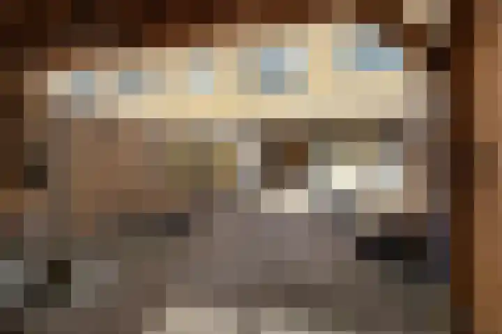 Pruisisch blauw 35 Zoetermeer thumbnail 24