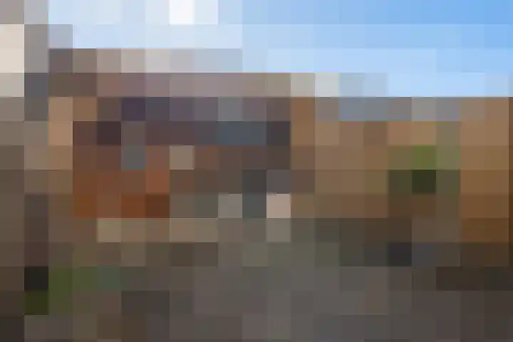 Pruisisch blauw 35 Zoetermeer thumbnail 26