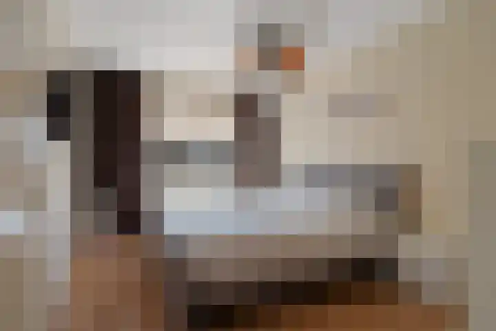 Pruisisch blauw 35 Zoetermeer thumbnail 30