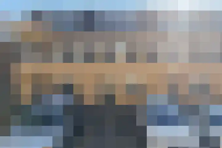 Pruisisch blauw 35 Zoetermeer thumbnail 4
