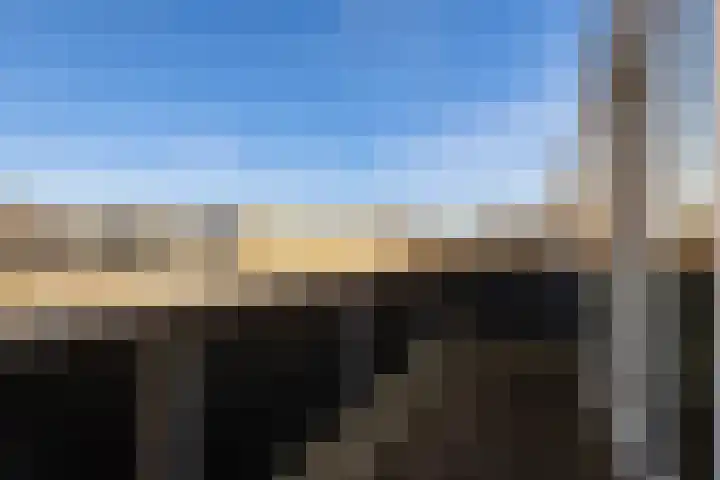 Pruisisch blauw 35 Zoetermeer thumbnail 51