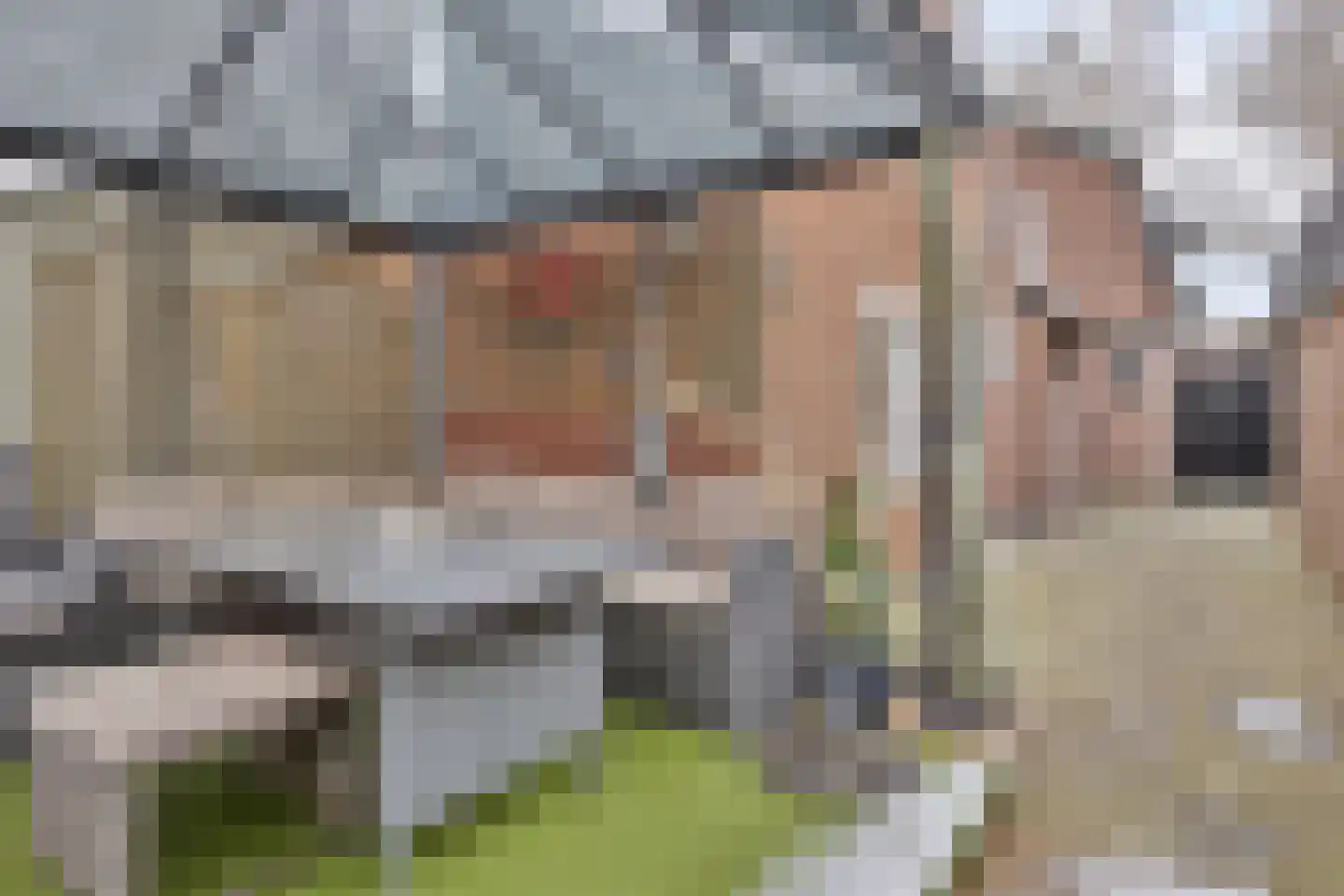 Pruisische Veldweg 36 Hengelo thumbnail 26