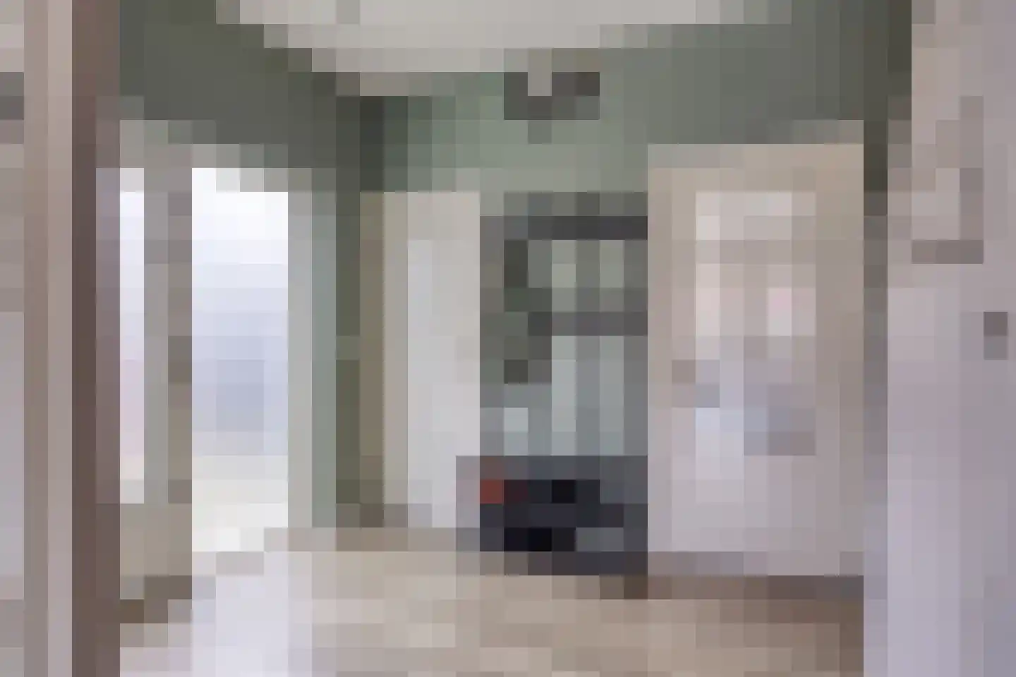 Pruisische Veldweg 36 Hengelo thumbnail 7