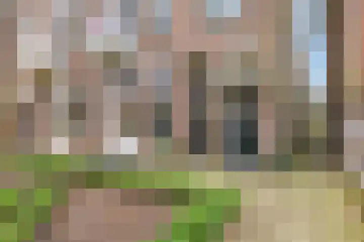 Prümelaan 13 Arnhem thumbnail 11