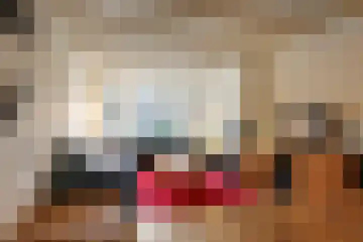 Prümelaan 13 Arnhem thumbnail 20