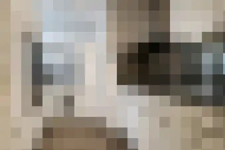 Prümelaan 13 Arnhem thumbnail 29