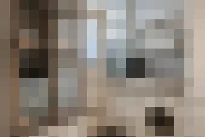 Prümelaan 13 Arnhem thumbnail 30
