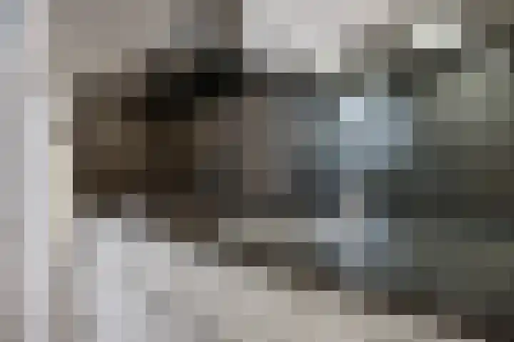 Prümelaan 13 Arnhem thumbnail 33