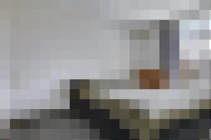 Prümelaan 13 Arnhem thumbnail 41