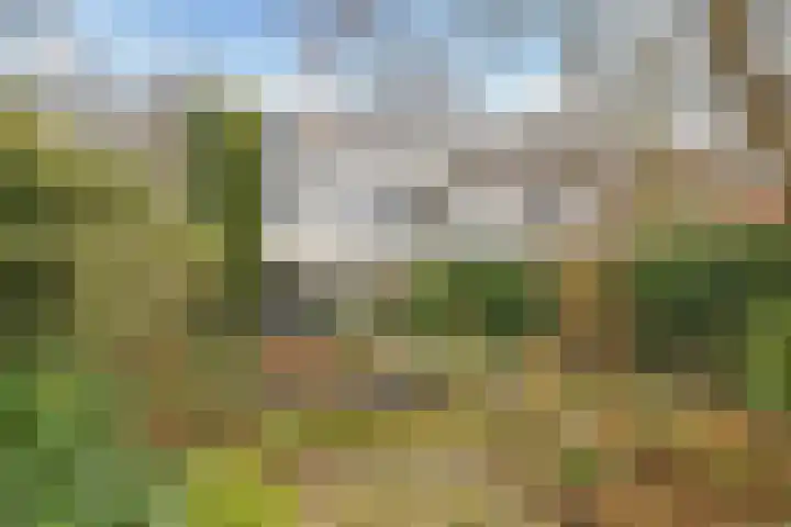 Prümelaan 13 Arnhem thumbnail 48