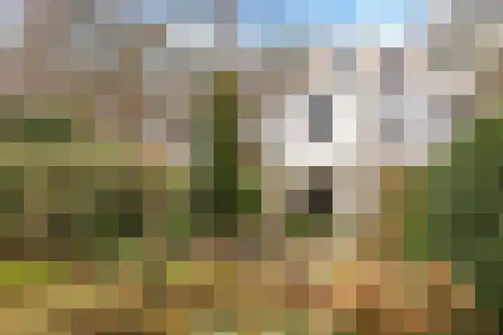 Prümelaan 13 Arnhem thumbnail 49