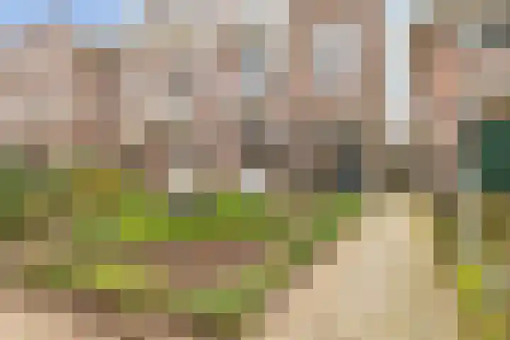 Prümelaan 13 Arnhem thumbnail 5