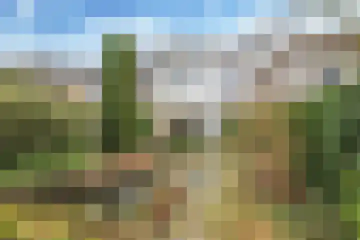 Prümelaan 13 Arnhem thumbnail 50