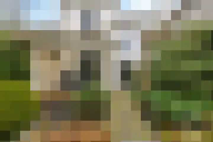 Prümelaan 13 Arnhem thumbnail 53