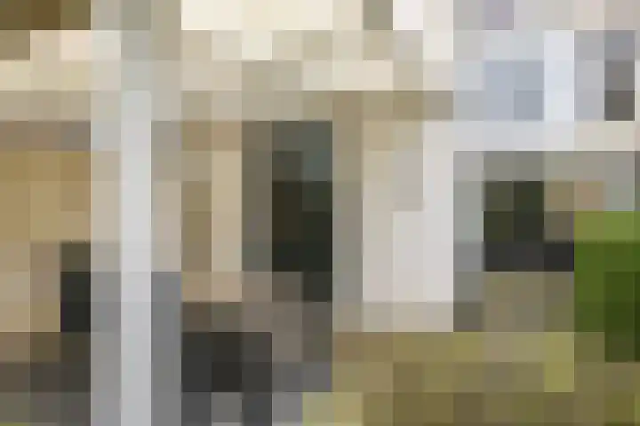 Prümelaan 13 Arnhem thumbnail 54
