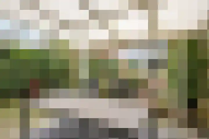 Prümelaan 13 Arnhem thumbnail 58