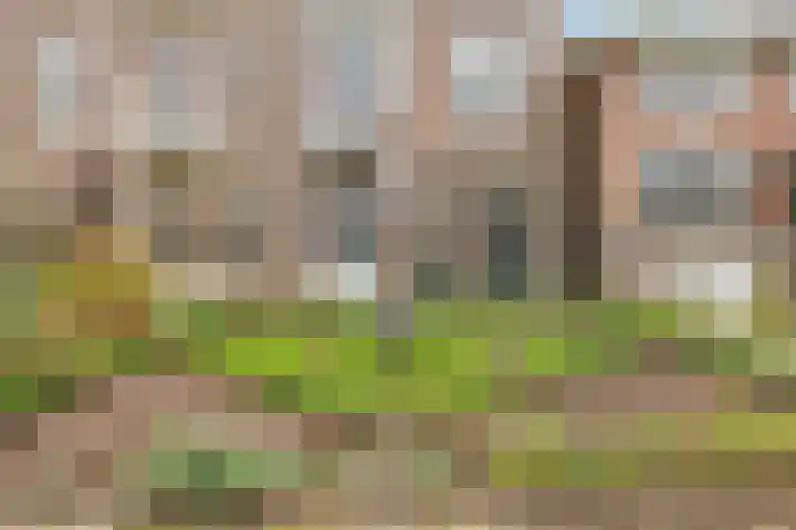 Prümelaan 13 Arnhem thumbnail 6