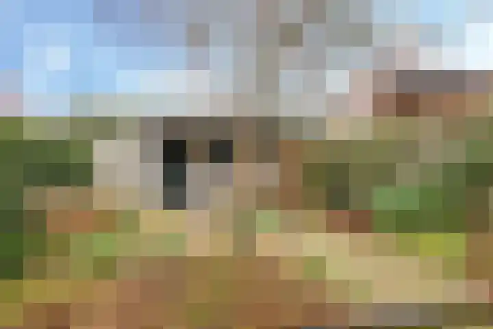 Prümelaan 13 Arnhem thumbnail 61