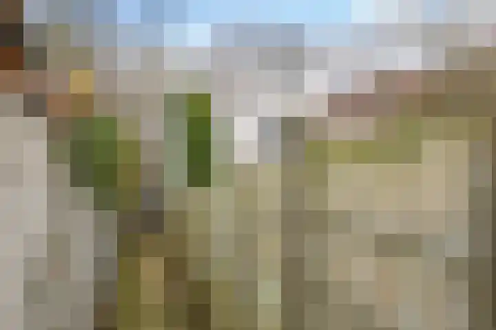 Prümelaan 13 Arnhem thumbnail 64
