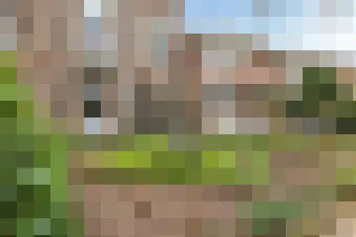 Prümelaan 13 Arnhem thumbnail 7