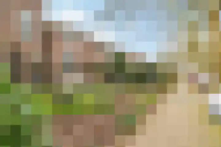 Prümelaan 13 Arnhem thumbnail 8