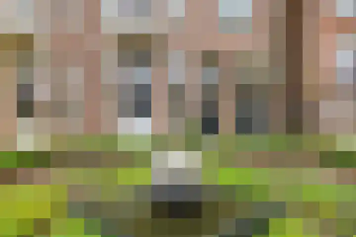 Prümelaan 13 Arnhem thumbnail 9