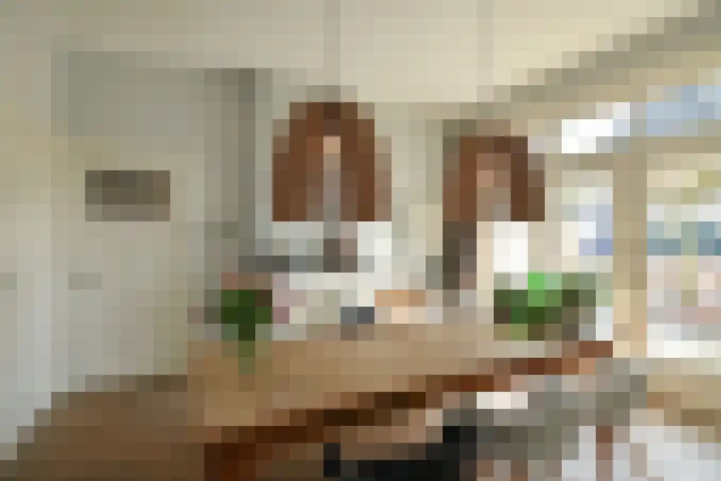 Prümelaan 34 Arnhem thumbnail 21
