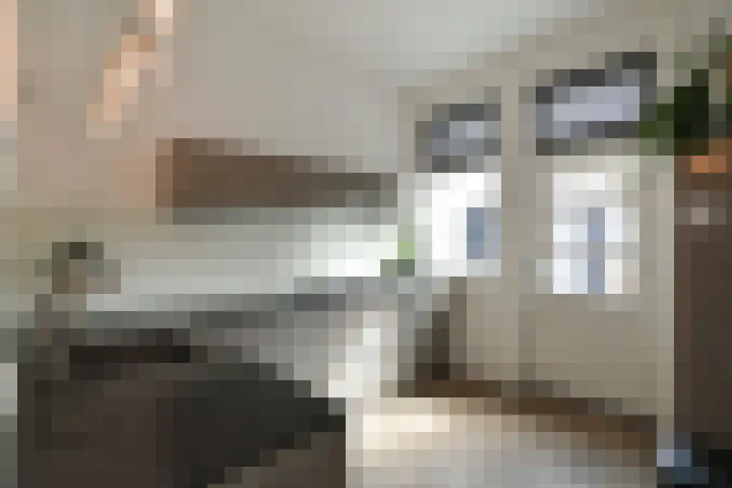 Prümelaan 34 Arnhem thumbnail 23
