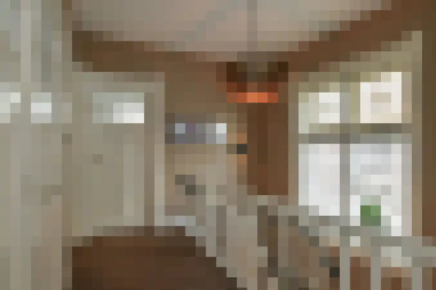 Prümelaan 34 Arnhem thumbnail 27