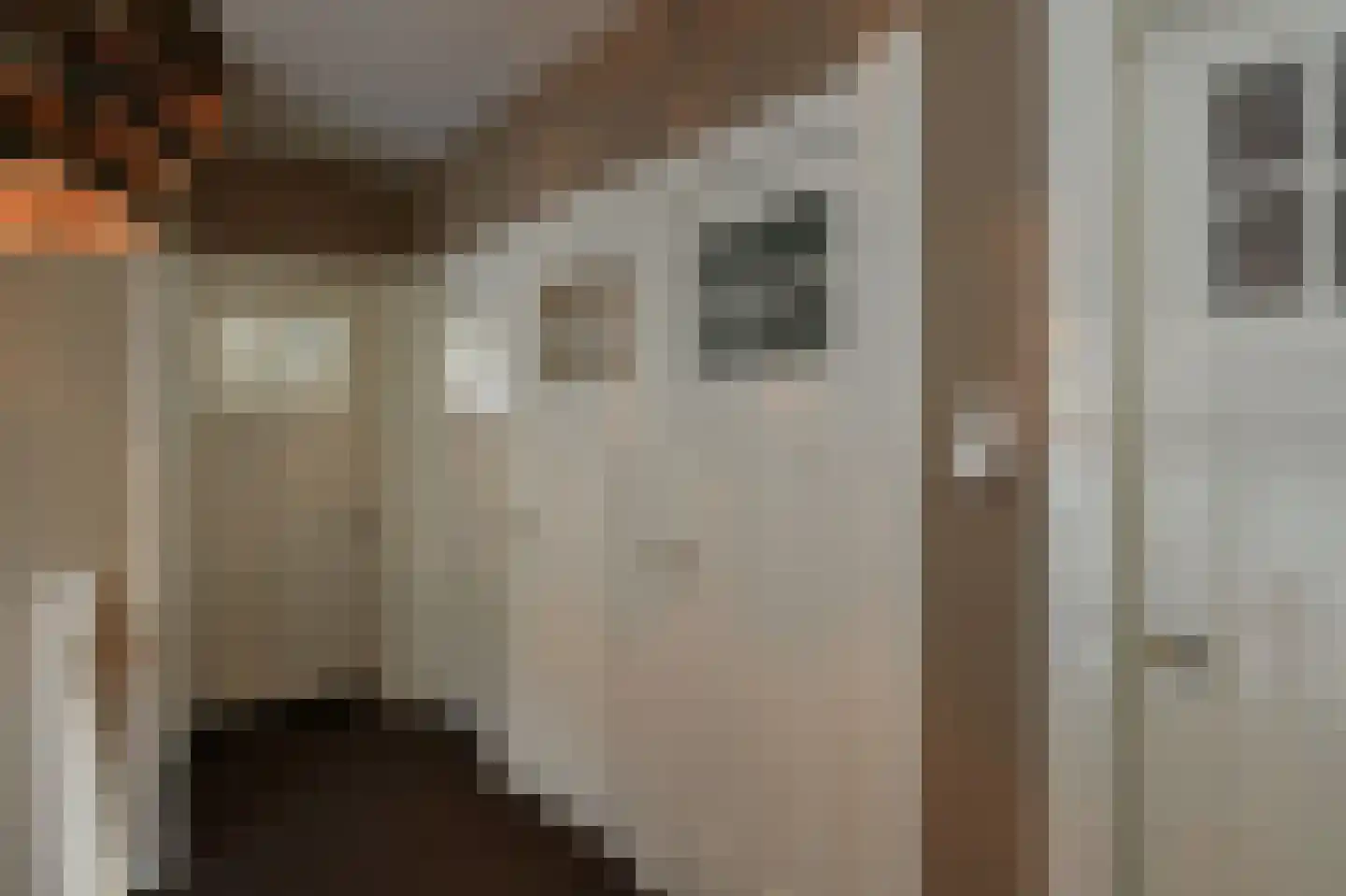 Prümelaan 34 Arnhem thumbnail 30