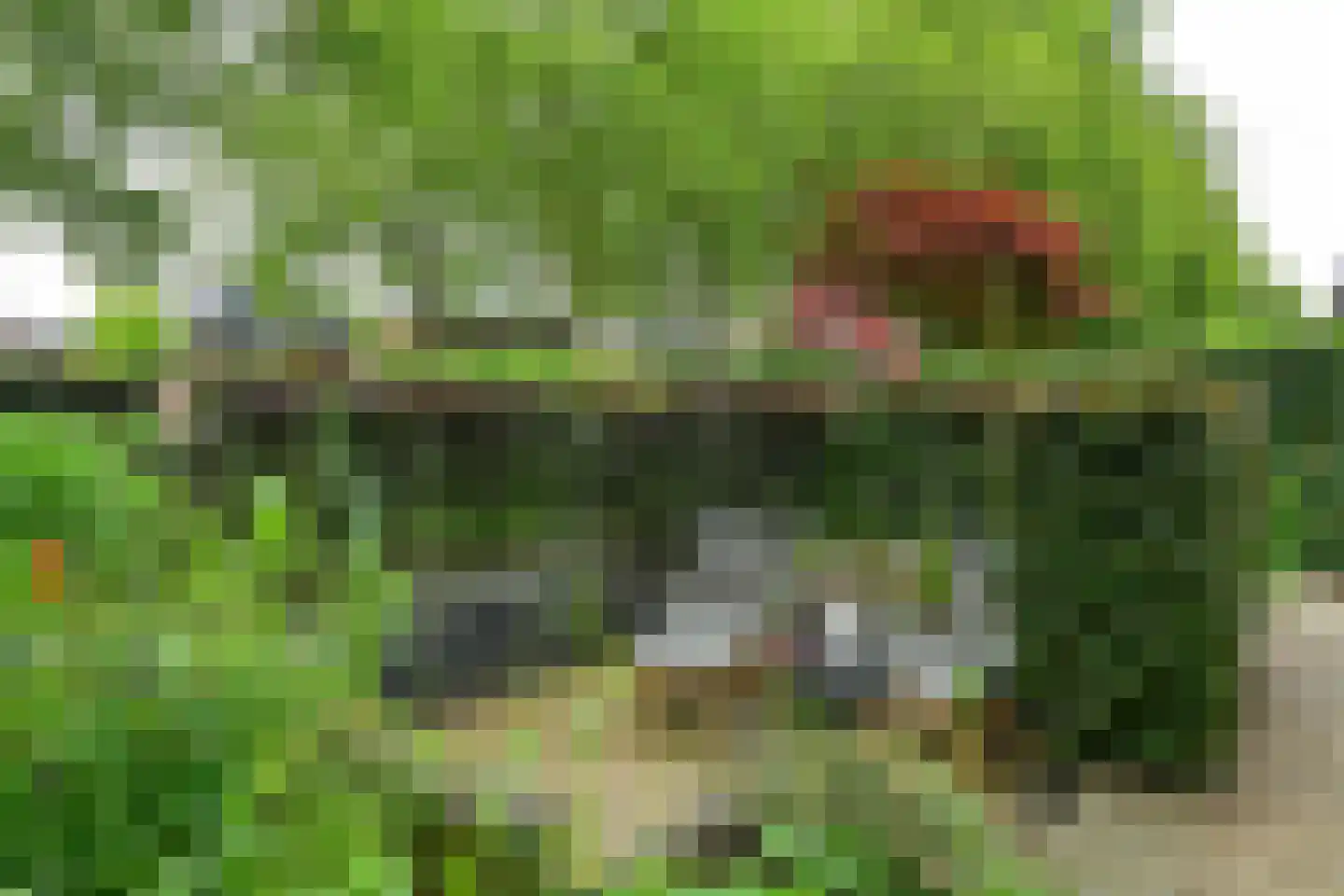 Prümelaan 34 Arnhem thumbnail 5
