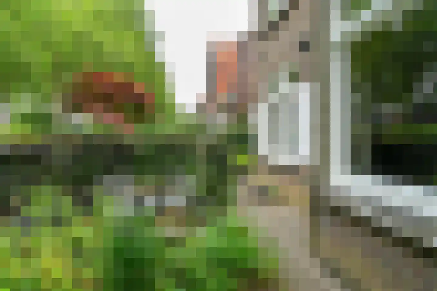 Prümelaan 34 Arnhem thumbnail 6