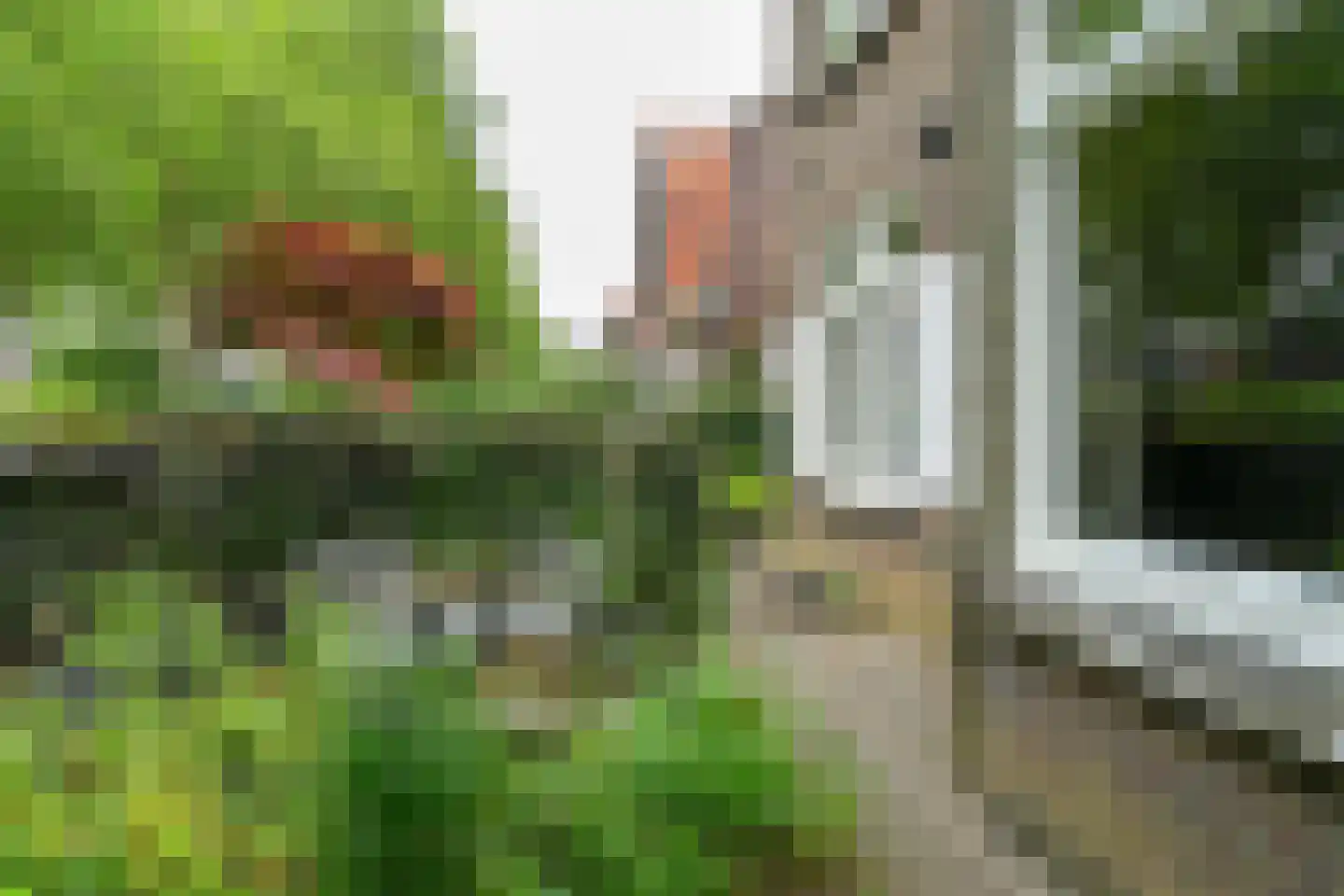Prümelaan 34 Arnhem thumbnail 6