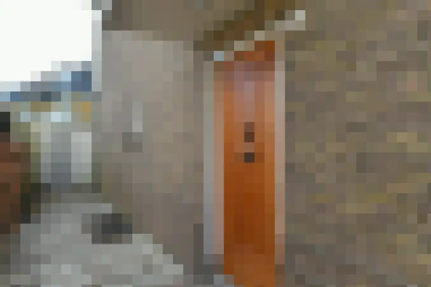 Prümelaan 34 Arnhem thumbnail 8